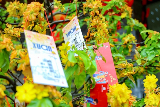 DECOFI KHAI XUÂN BÍNH NGỌ 2026